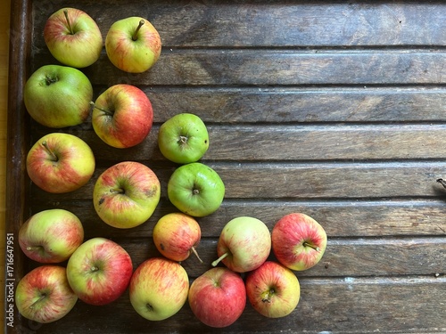 Close up of ripe red and green apples on a  clear wooden table surface background the fruit freshly harvest organic allotment orchard garden in Summer interior flat lay top view with copy space