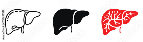 Set of three stylized liver illustrations showing outline, silhouette, and vascular detail in black and red for medical and educational use