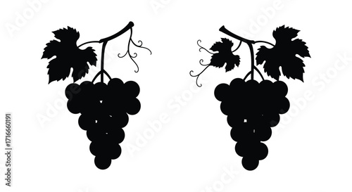 Black silhouette illustration of two bunches of grapes with leaves