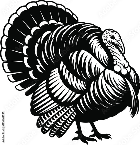 Turkey Bird Silhouette Isolated Art Vector Illustration for Farm Animal Design