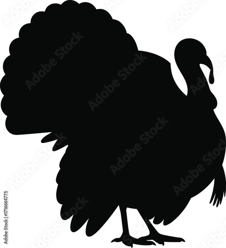 Turkey Illustration Isolated on Transparent Background for Farm Animal Art Projects