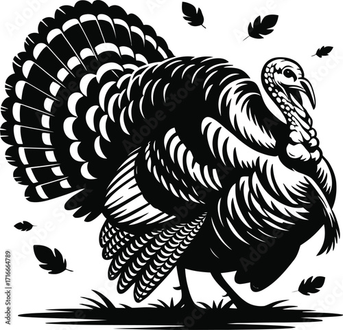 Turkey Illustration Isolated on Transparent Background, Bird Art with Detailed Feather Design