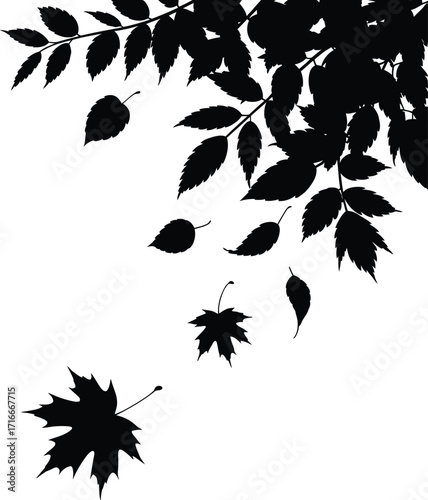 Falling Leaves Illustration Isolated on Transparent Background, Autumn Art, Leaf Silhouette