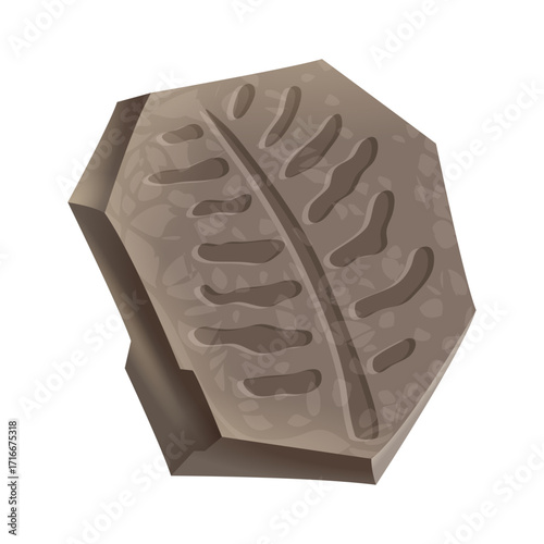 Fossilized Leaf Imprint on a Stone Slab - Ancient Plant Remains Discovery