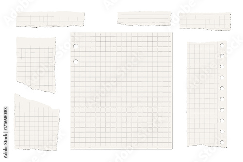 Set of torn ripped grid notebook paper sheets. Realistic vector illustration of cutout collage pieces. Blank gridded paper for notes, messages, or scrapbooking background.