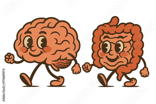 Brain and gut friends. Cute groovy brain and intestines characters walking together. Retro 70s mascot illustration. Gut-brain axis and second brain mental health concept.