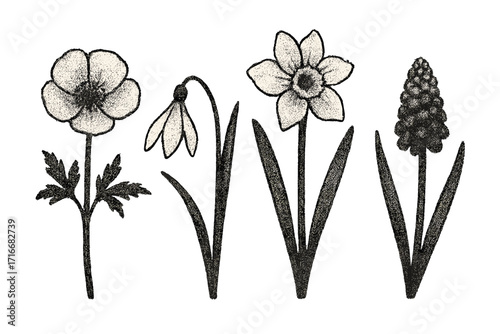 Vintage retro dotted halftone style spring flowers set, herbarium wildflowers illustration, grain texture effect, trendy vector cartoon botanical elements collection