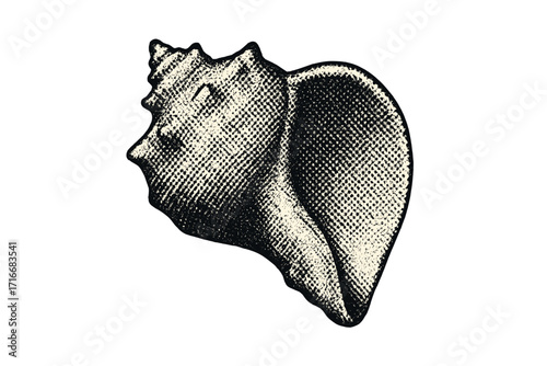 Seashell of Rapana Mollusk Vintage Stippling Halftone Dot Art, Retro Magazine Style Grunge Illustration, Isolated Sea Creature Shell, Pop Art Y2K Marine Life Design