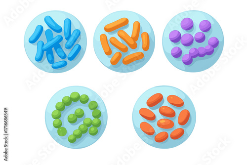 Probiotics 3D vector concept. Good bacteria for intestinal health. Lactobacillus, bifidobacterium, streptococcus. Microbiome science icon set for healthy digestion. Render.
