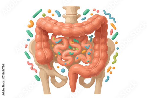 Gut microbiome concept. Human intestines with beneficial bacteria. Healthy digestive system, colon, and gut flora. Probiotics and prebiotics. 3D vector cartoon illustration.