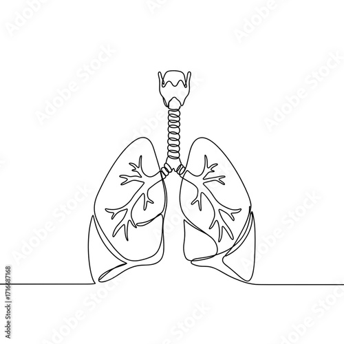 Continuous line drawing of human lungs with trachea  