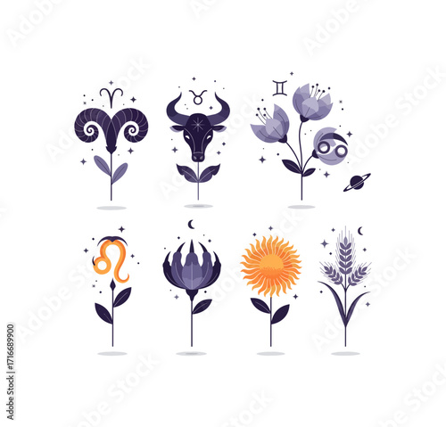 Stunning zodiac floral illustrations with celestial elements bring cosmic magic and astrological charm to your creative projects