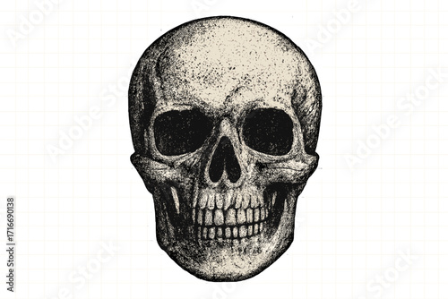 Human skull illustration in vintage grunge style. Macabre Halloween vector with halftone dotwork texture. Realistic anatomy concept of death, danger, and poison symbol.