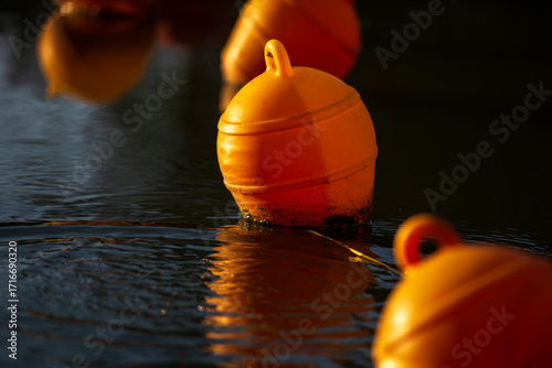 
Orange buoys on the water. The dividing line. Close-up. A bright orange spot. Circles on the water. In the rays of the setting sun.