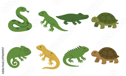 Colorful reptile silhouettes on gradient background - snake, lizard, crocodile, turtle