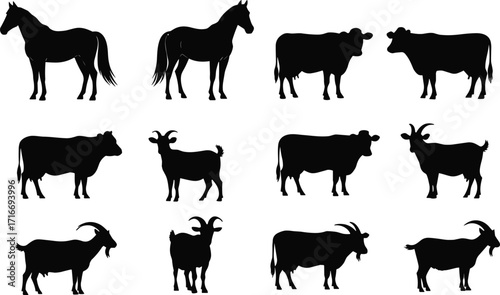 farm, animal, silhouette, horse, cow, goat, livestock, agriculture, rural, barnyard, pasture, herd, domestic, mammal, farming