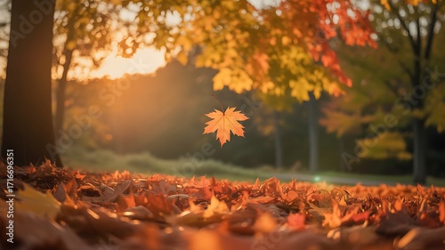 Wallpaper Mural Single maple leaf falling in autumn park at sunset Torontodigital.ca