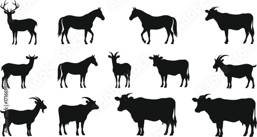 Silhouettes of deer, horses, cows, goats, animal grid, horned mammals, domestic wildlife, farm animals, black silhouettes, nature identification chart