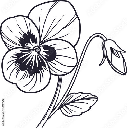 Elegant violet flower head outline with black line art on a white background