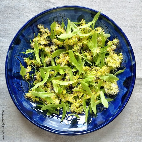 Fresh Linden Blossom on a Blue Ceramic Plate