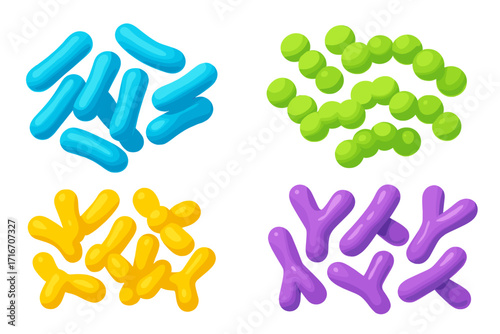 Probiotic bacteria 3D render set. Gut microbiota concept with healthy prebiotic bacillus, lactobacillus, streptococcus, bifidobacteria. Digestive system microorganisms vector.
