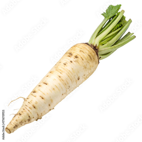 Parsnip Root Vegetable with Green Tops white pale