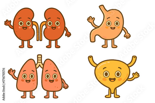 Human organs characters set. Cute kawaii kidneys, lungs, stomach, bladder. Retro cartoon mascot for medical, biology, anatomy education. Healthy internal organ vector icons.