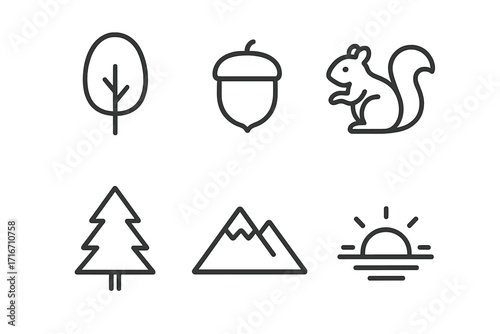 Minimalist nature icons set. Simple outline symbols for forest, park, and outdoors. Vector collection includes tree, pine, acorn, squirrel, mountain, sunset. Line art.