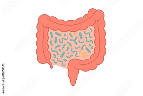 Gut human digestive system with healthy probiotic bacteria flora. Intestine microbiome. Gastrointestinal tract health concept. Digestion and prebiotic flat vector illustration.