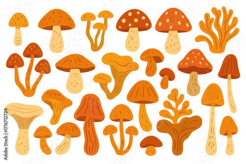 Vector collection of various abstract mushrooms in autumn colors. Hand drawn flat cartoon fungi set for seasonal design. Cute forest elements, organic fall mood illustration.