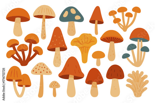 Mushroom set vector collection. Abstract hand drawn fungi illustration. Cute cartoon flat design elements. Autumn forest nature botanical art. Whimsical retro fall mood icons.