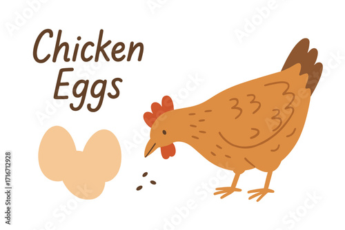 Chicken eggs banner template. Farm hen with egg and lettering. Cute chicken pecks grain. Farmer market poster design element. Flat hand drawn vector illustration. Organic.