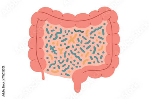 Gut microbiome concept with human intestine and healthy bacteria. Medical vector illustration of microbiota, probiotics, and digestive system flora for microbiology and health.