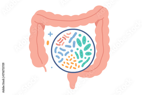 Gut microbiome concept. Human intestine with healthy probiotic bacteria pattern. Medical vector illustration of microbiota, digestion flora, and microbiology checkup for health.