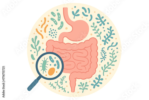 Gut microbiome vector concept. Intestine microbiota with healthy probiotic bacteria. Medical illustration of microbiology analysis. Digestive system, gut health, flora checkup.