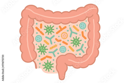 Gut microbiome concept with healthy intestine flora. Probiotic and prebiotic bacteria in digestive system. Medical microbiology vector illustration with good bacteria and viruses.