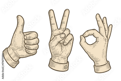 Vintage hand gesture set with thumbs up, peace sign, and okay symbol. Retro engraved sketch style vector illustration for concepts like approval, success, and communication.