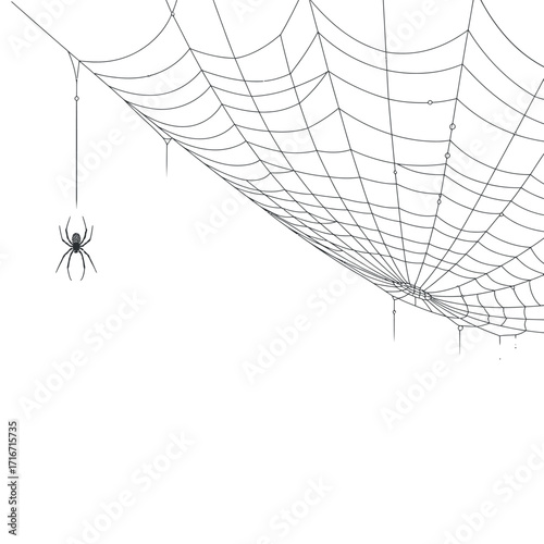 Spiderweb Vector Illustration with Spider Hanging for Halloween or Creepy Designs