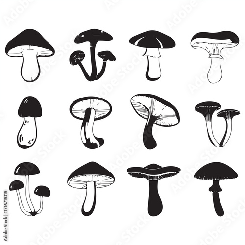 A vibrant set of cartoon mushroom icons, isolated on white, offers a colorful vector illustration of various edible and non-edible fungi found in nature