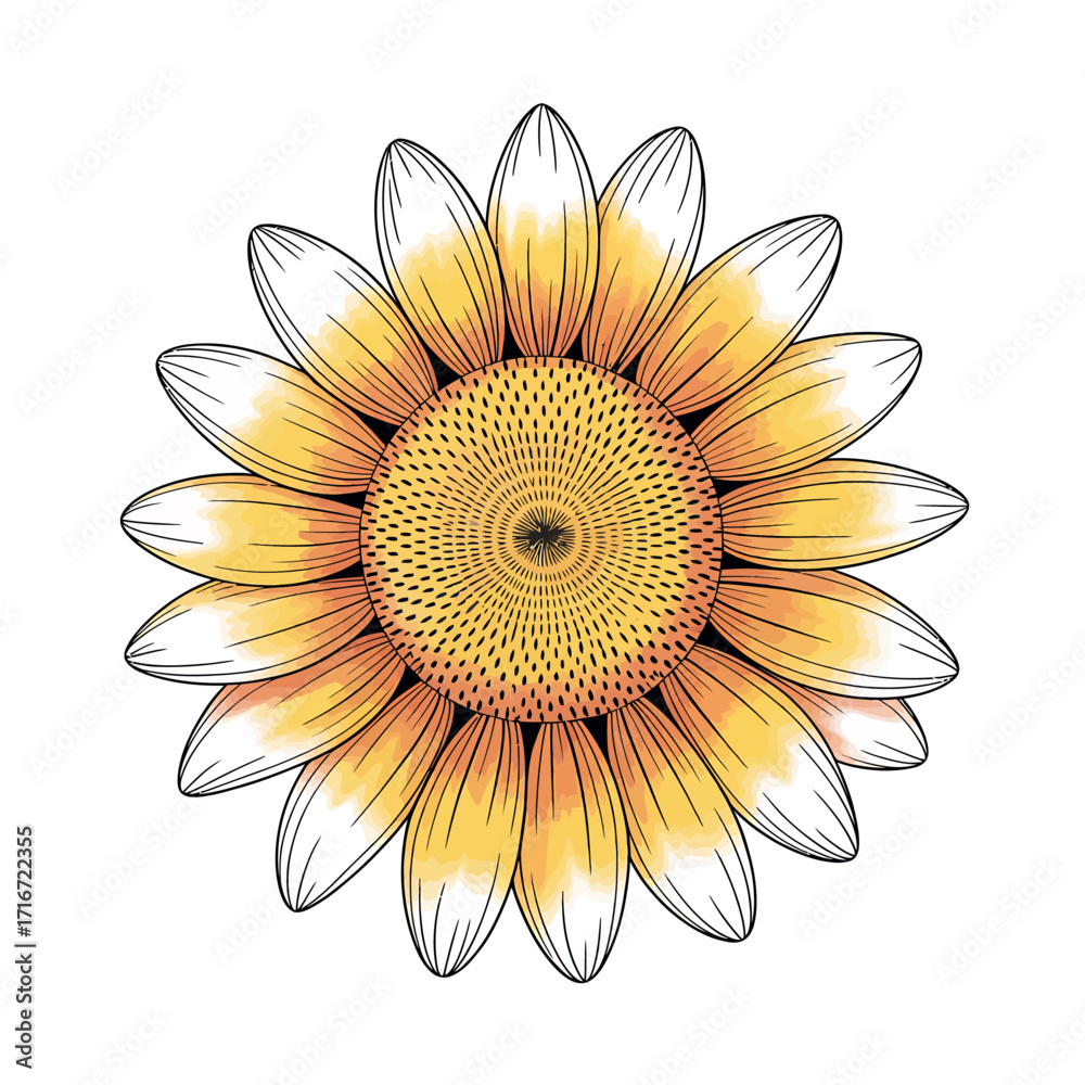 Fototapeta premium Elegant minimalist line art illustration of a botanical element