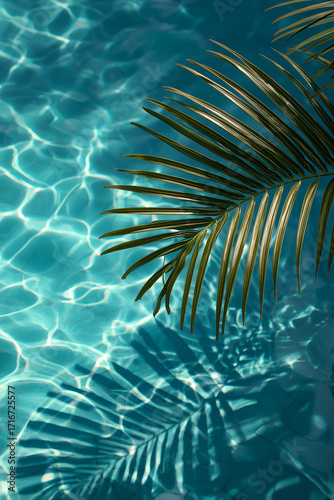 palm tree over water