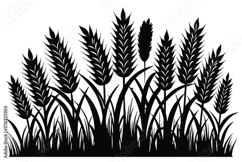 Silhouette of Wheat and Grass Stalks and Leaves in a Monochrome Design