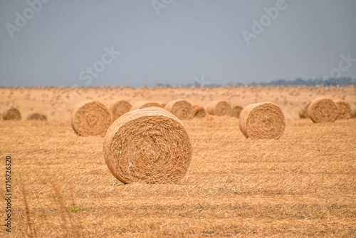 Hay rolls