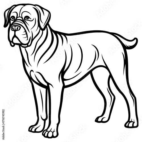 Black and white line drawing of a muscular dog standing