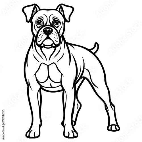 Muscular boxer dog standing sideways, black and white illustration