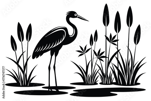 Black Heron Silhouette Standing in a Marsh with Cattails and Grassy Plants
