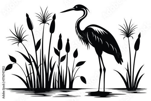 Silhouette of Great Blue Heron Amidst Cattails and Papyrus Plants near the Water