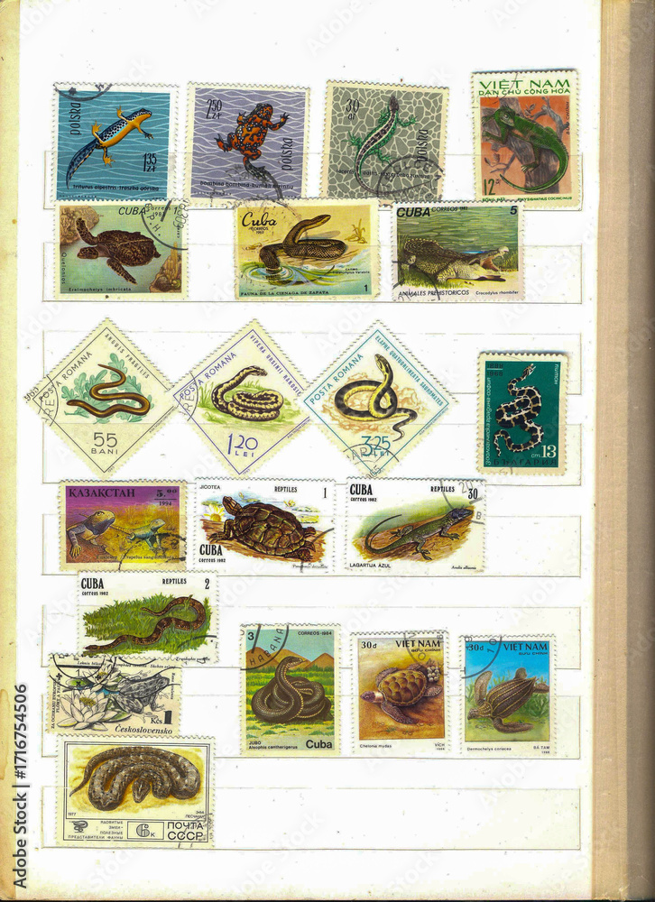 Obraz premium Exploring the Wonder of Fauna Through Used Commemorative Postage Stamps From Various Countries