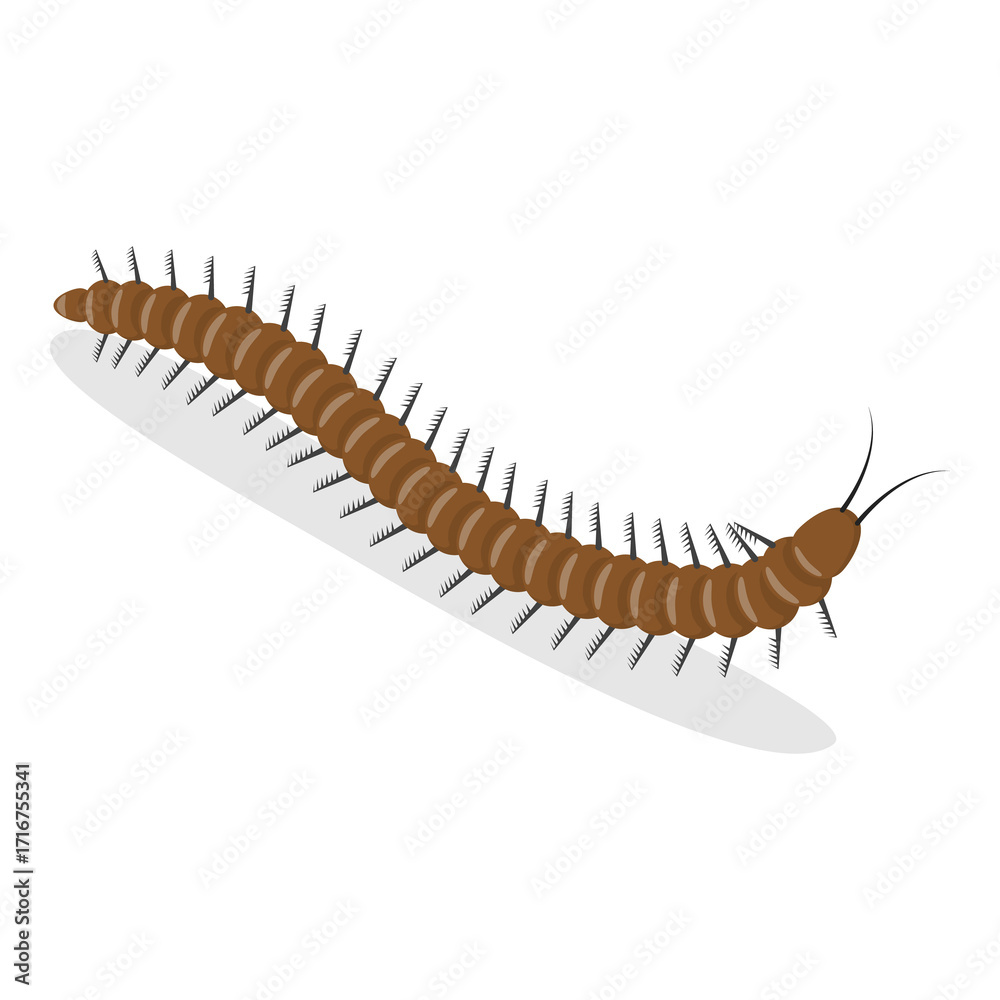 Fototapeta premium 3D Isometric Flat Set of Caterpillars And Worms. Item 4