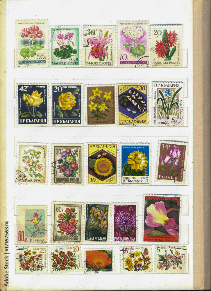 Obraz premium Exploring the Beauty of Global Flora Through a Vibrant Collection of Commemorative Stamps